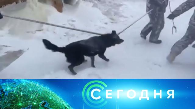 21 января 2022 года. 10:00