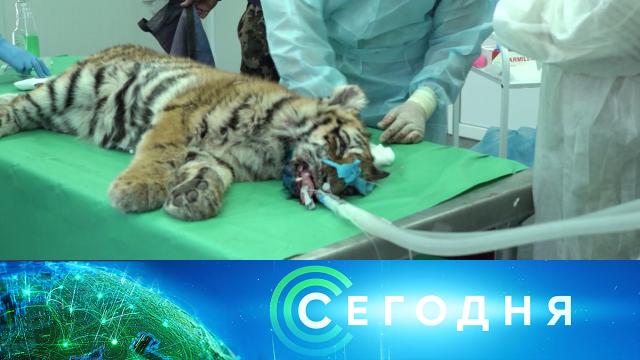 22 января 2022 года. 08:00