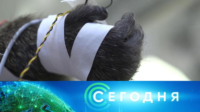 24 января 2022 года. 16:00