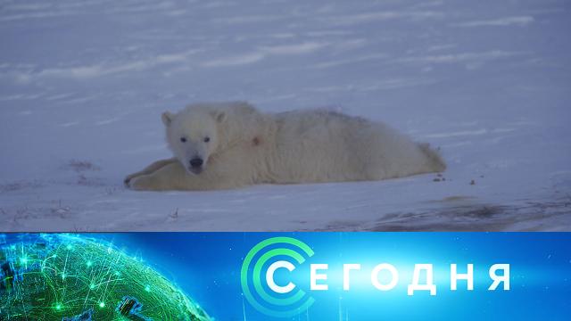 30 января 2022 года. 08:00