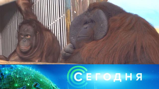 9 февраля 2022 года. 16:00