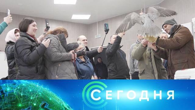 14 февраля 2022 года. 16:00