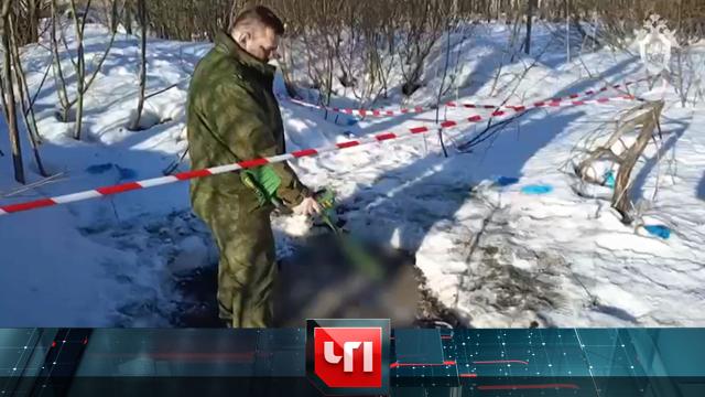 3 марта 2022 года