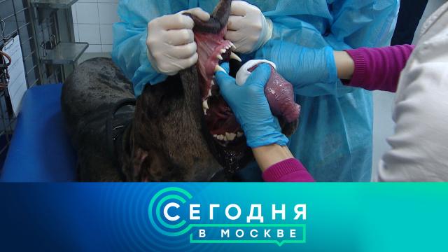 14 апреля 2022 года. 16:15