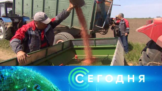 4 мая 2022 года. 16:00