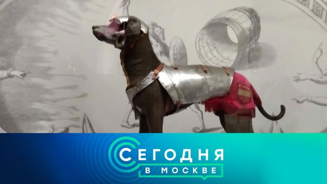 14 мая 2022 года. 10:00