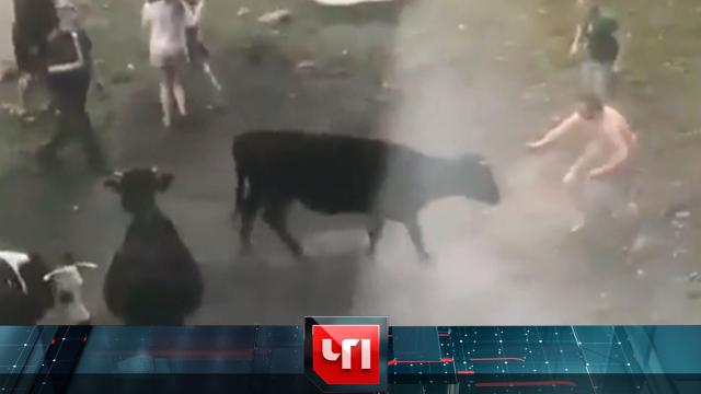 18 мая 2022 года