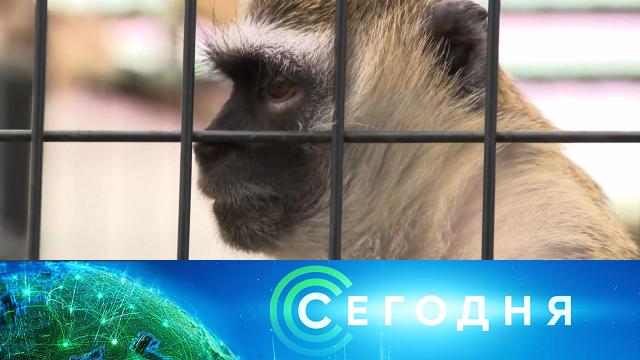 20 мая 2022 года. 13:00