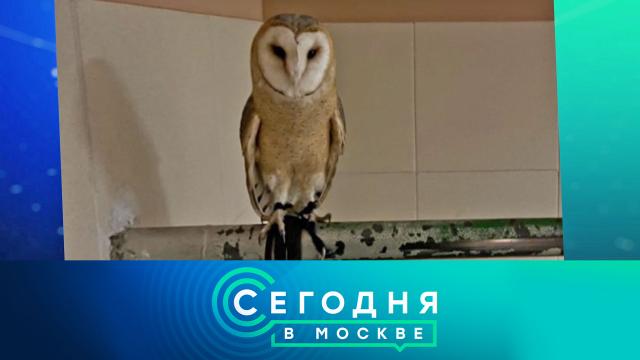 24 мая 2022 года. 16:20