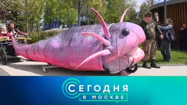 25 мая 2022 года. 16:20