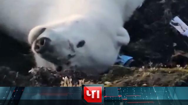 6 сентября 2022 года