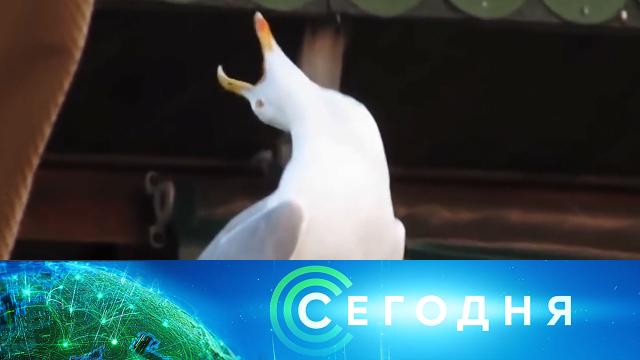 3 октября 2022 года. 10:00