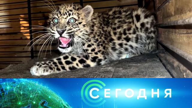 27 октября 2022 года. 13:00