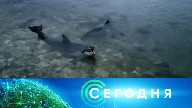 3 ноября 2022 года. 10:00