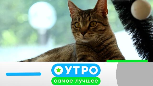 9 февраля 2023 года