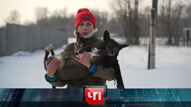 28 февраля 2023 года