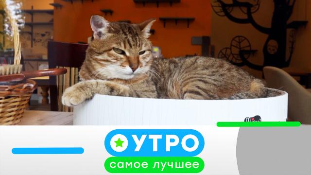 10 марта 2023 года