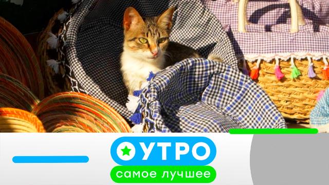 24 марта 2023 года