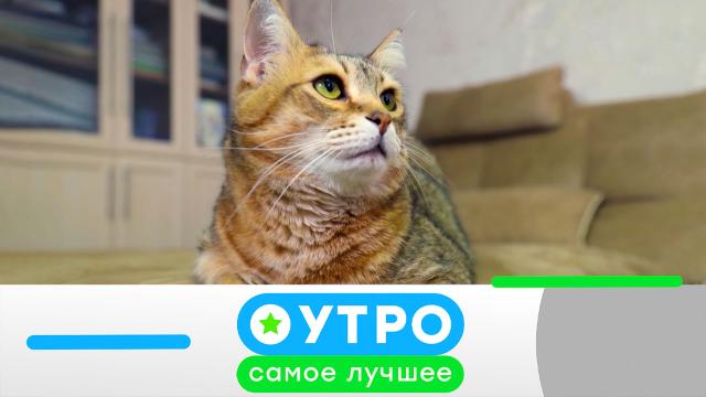 4 апреля 2023 года