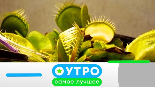 10 апреля 2023 года