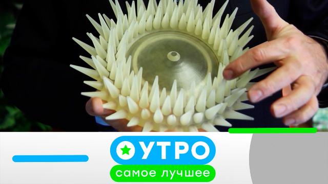 13 апреля 2023 года