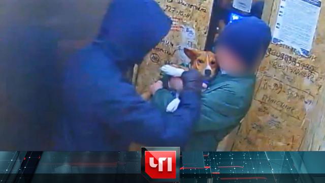 18 апреля 2023 года