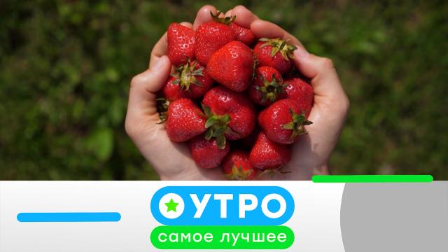 16 мая 2023 года