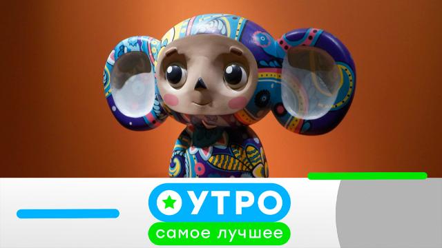 17 мая 2023 года