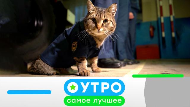 22 мая 2023 года