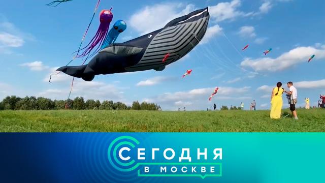 27 мая 2023 года. 10:00