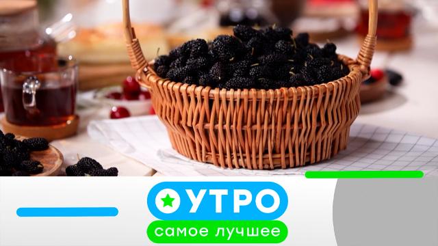 6 июня 2023 года