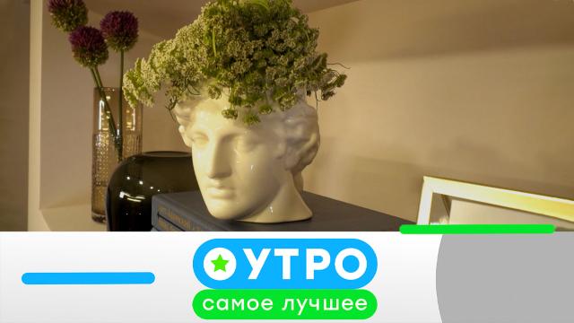 7 июня 2023 года