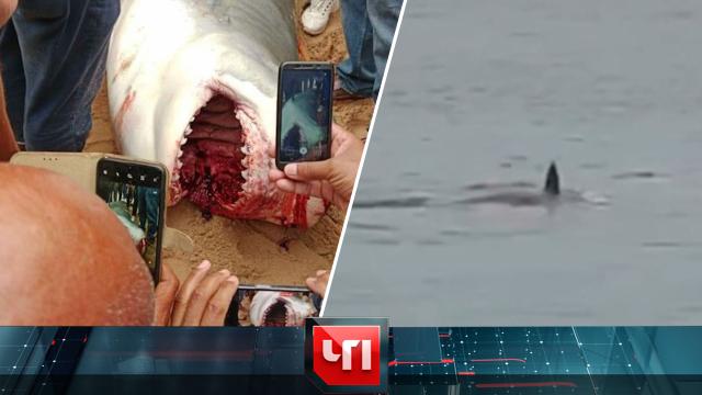 9 июня 2023 года