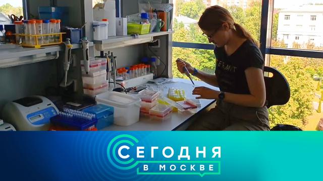 13 июня 2023 года. 16:20