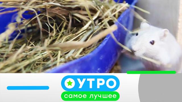 13 июня 2023 года