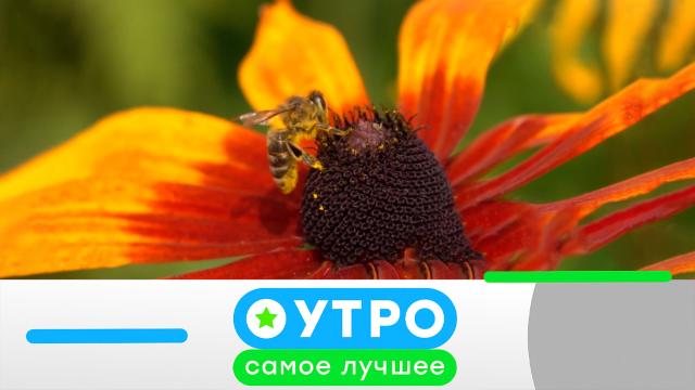 19 июня 2023 года