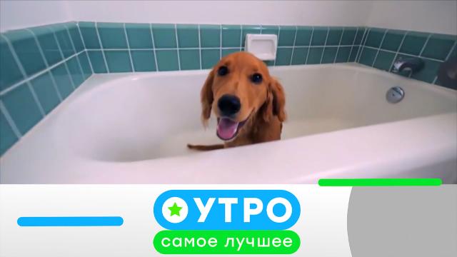 21 июня 2023 года