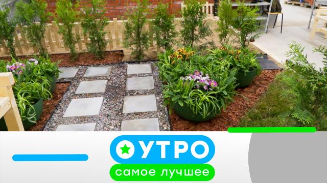 23 июня 2023 года