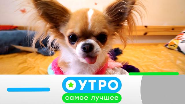 26 июня 2023 года