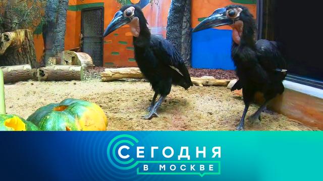 5 июля 2023 года. 16:20