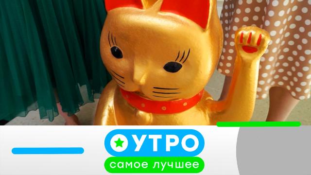 6 июля 2023 года