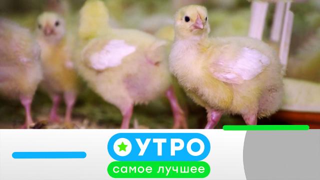 7 июля 2023 года