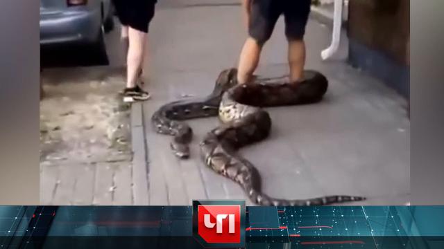 26 июля 2023 года