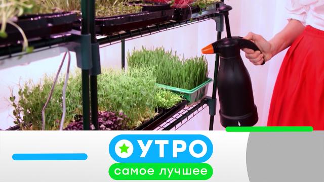 27 июля 2023 года