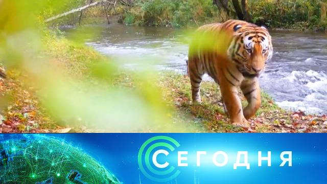 29 июля 2023 года. 16:00