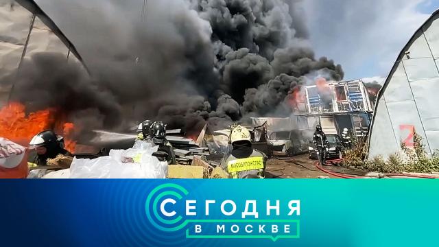 1 августа 2023 года. 16:20