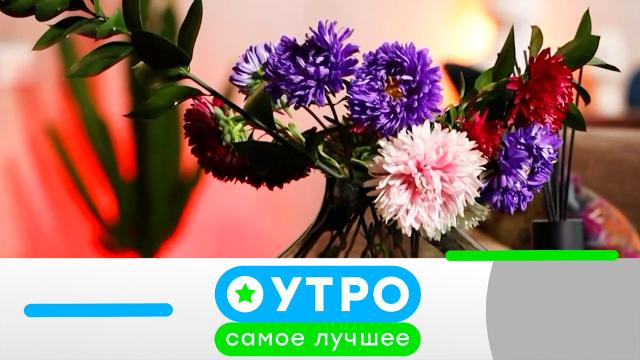 16 августа 2023 года