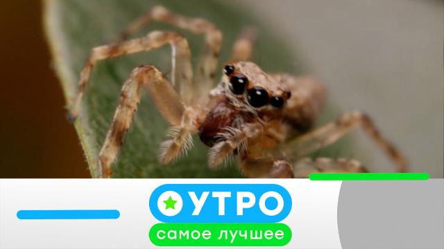 24 августа 2023 года