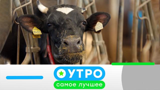 30 августа 2023 года