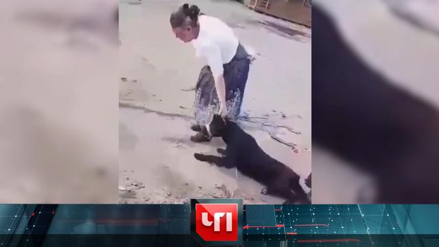 4 сентября 2023 года